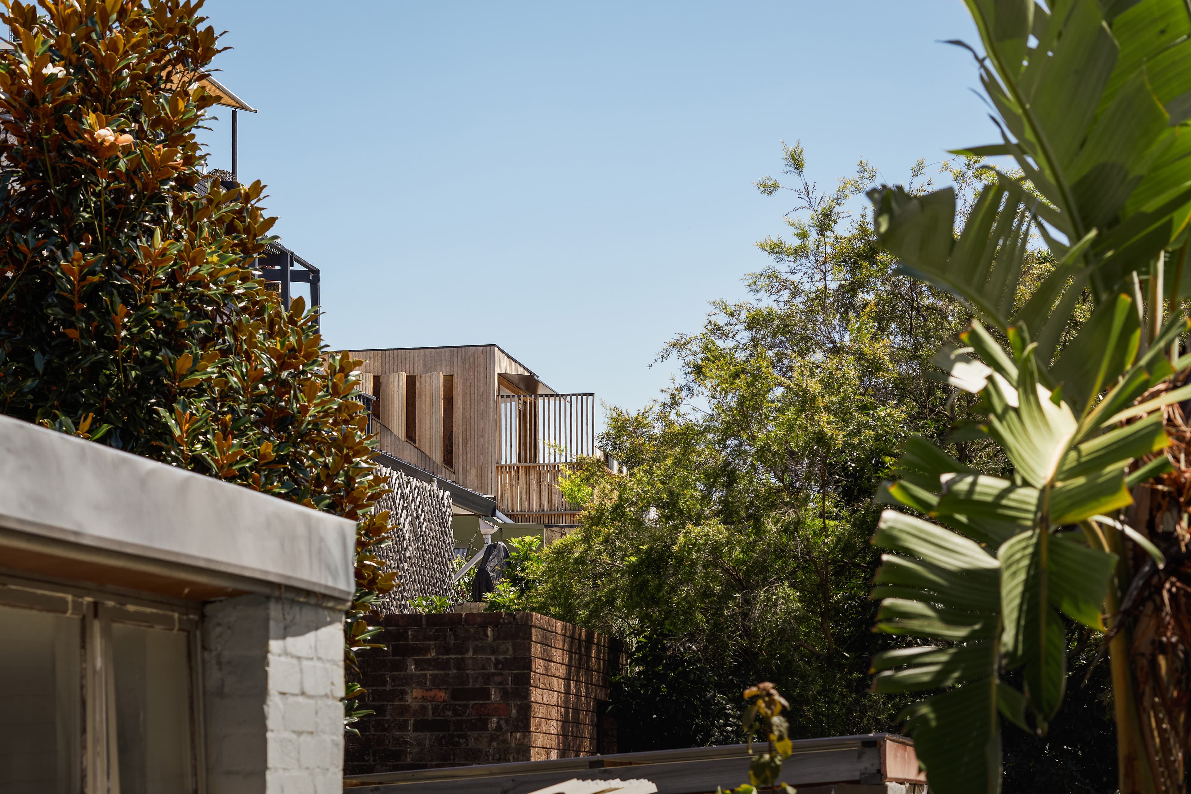 Miles Thorp Architects preview